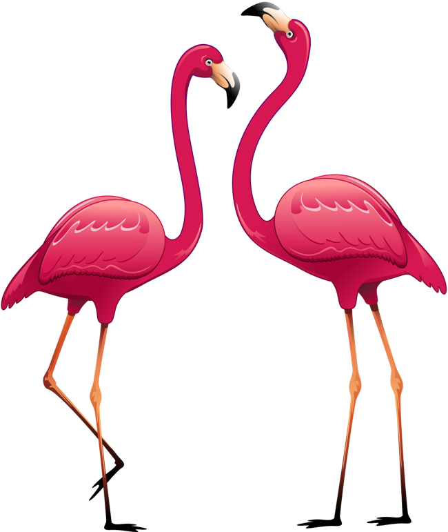 transparent background flamingo clipart png