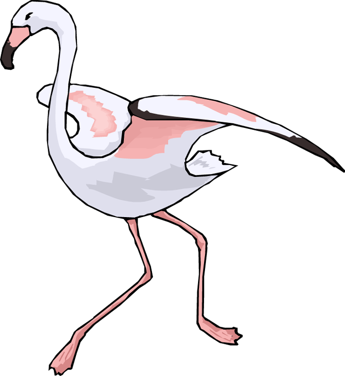flamingo clipart flying