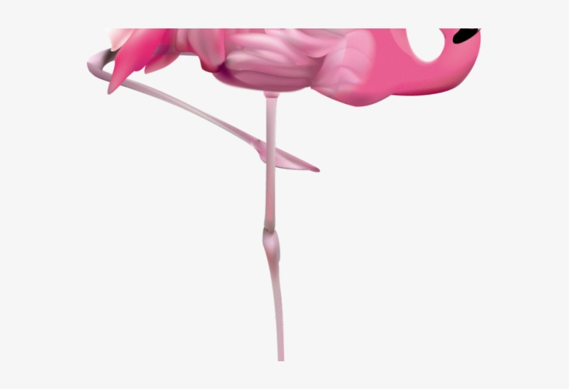 flamingo clipart glass