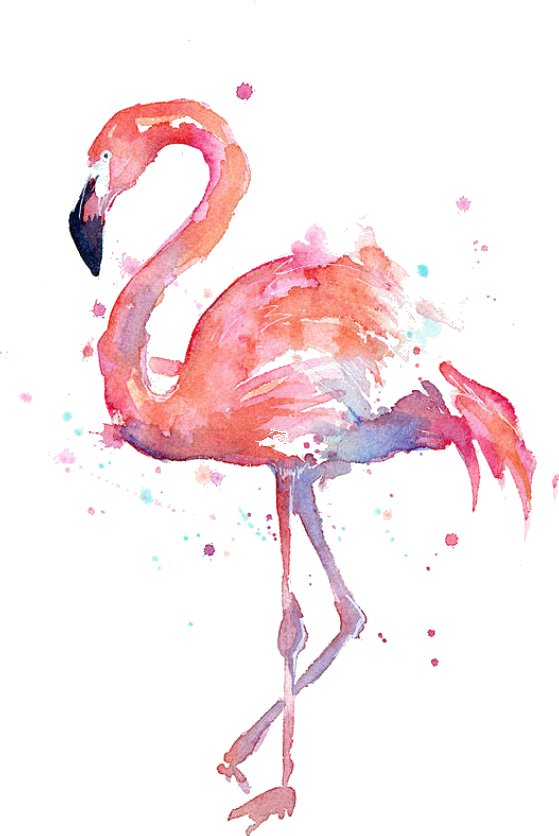 Flamingo clipart gold. Sticker by paulina micho