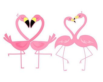 flamingo clipart heart