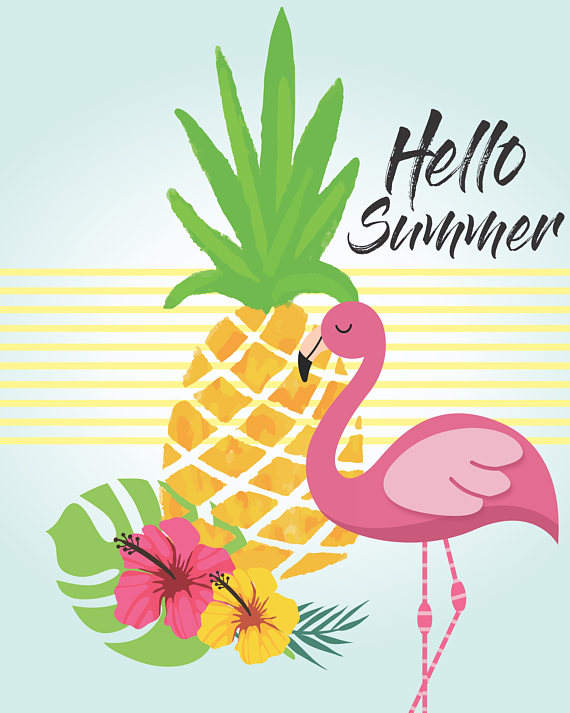 flamingo clipart hello summer clipart, transparent - 83.8Kb 570x713.