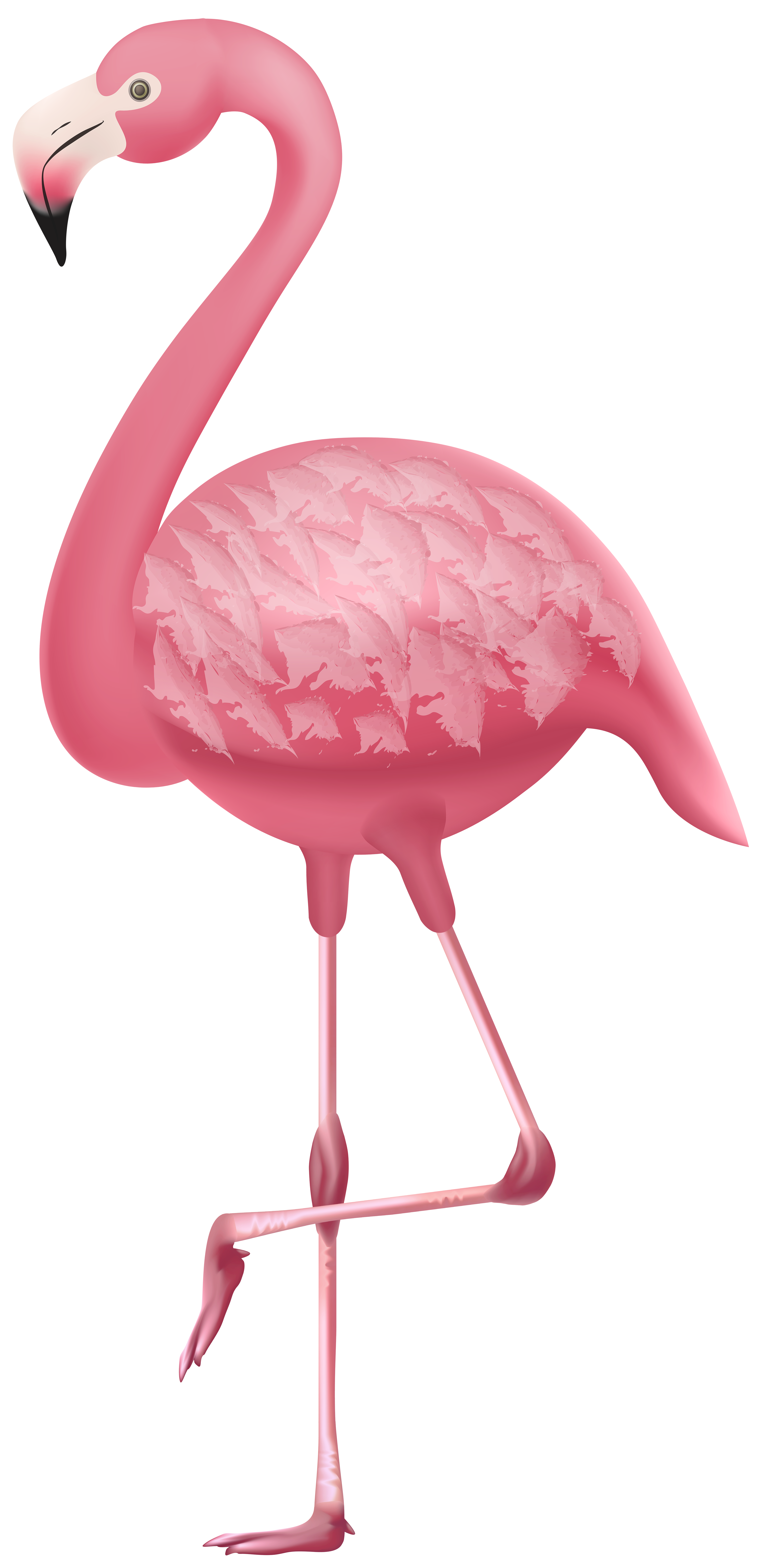 flamingo clipart high re