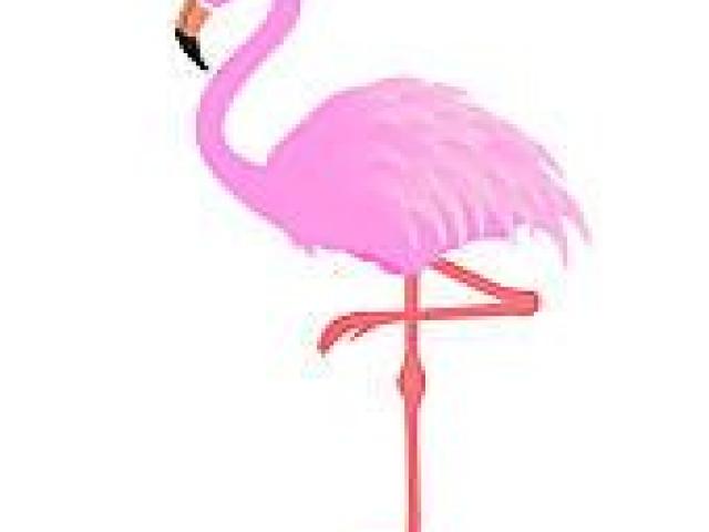 flamingo clipart holiday