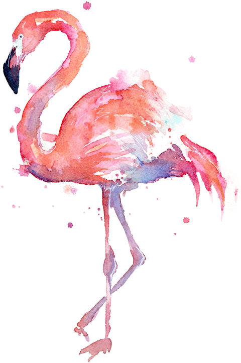 flamingo clipart jpeg