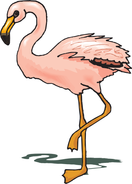 flamingo clipart kid