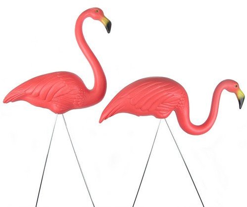 flamingo clipart lawn