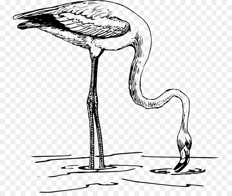 flamingo clipart line drawing