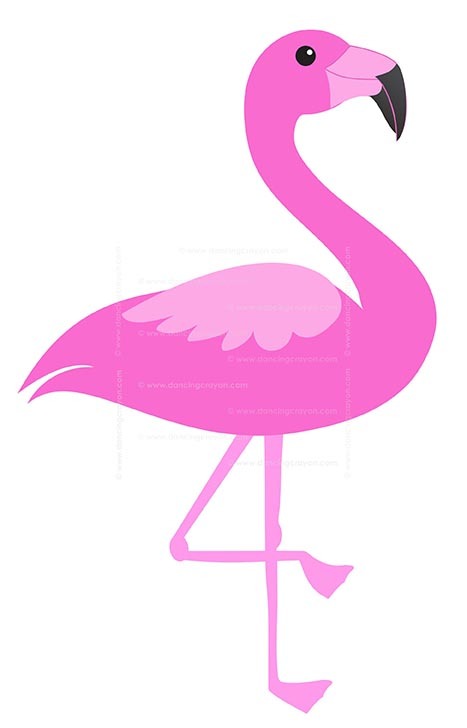 flamingo clipart pink thing