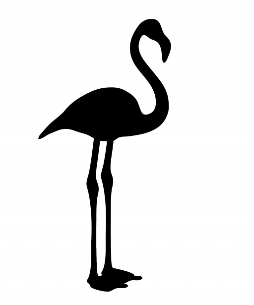 Free stock photo pictures. Flamingo clipart public domain