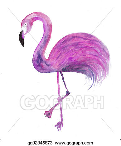 Stock illustration a beautiful. Flamingo clipart purple