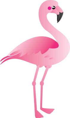 flamingo clipart realistic