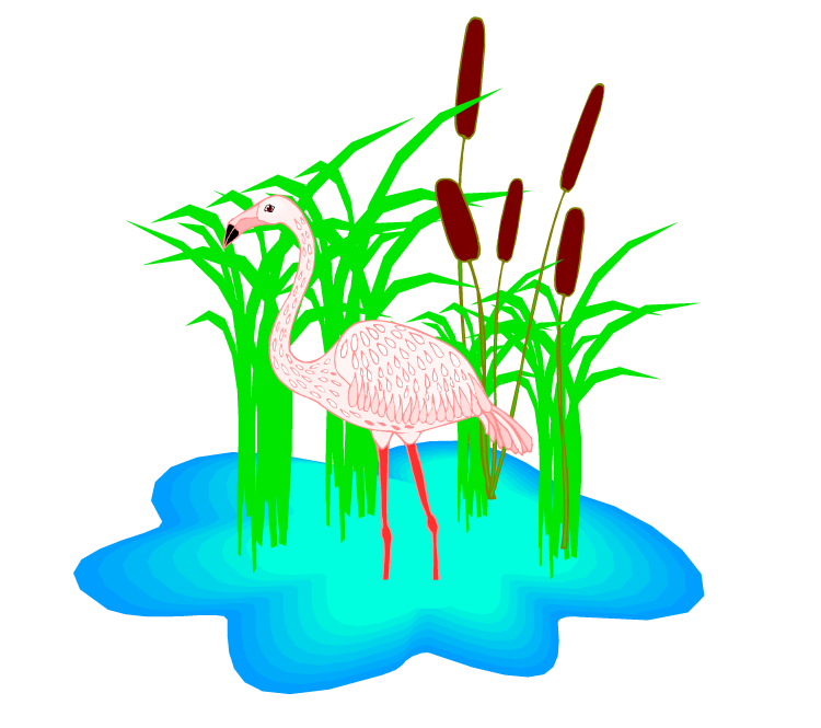 Flamingo silly