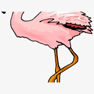 flamingo clipart silly