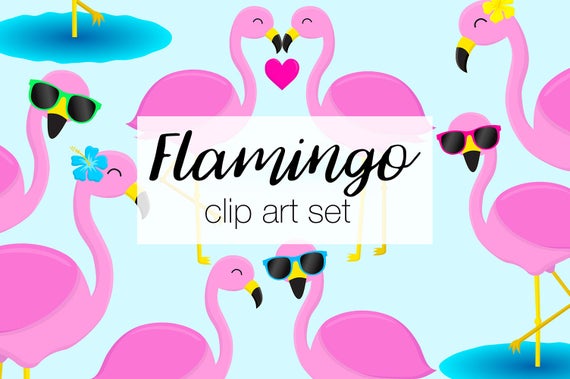 flamingo clipart sunglasses