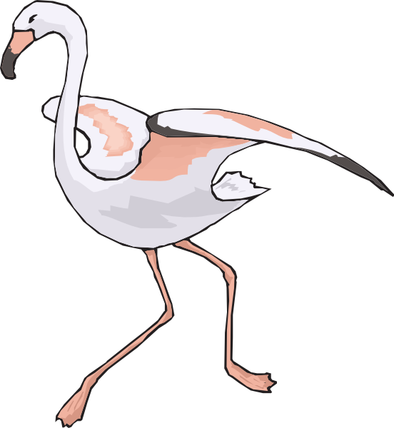 legs clipart flamingo
