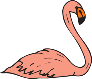 flamingo clipart swimming