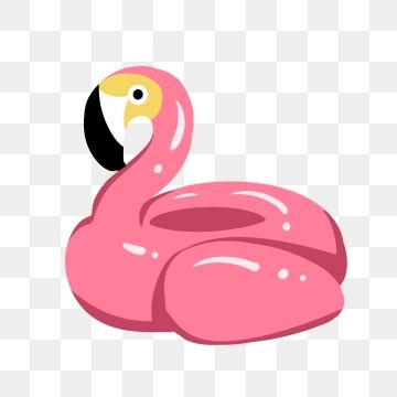 flamingo clipart swimming