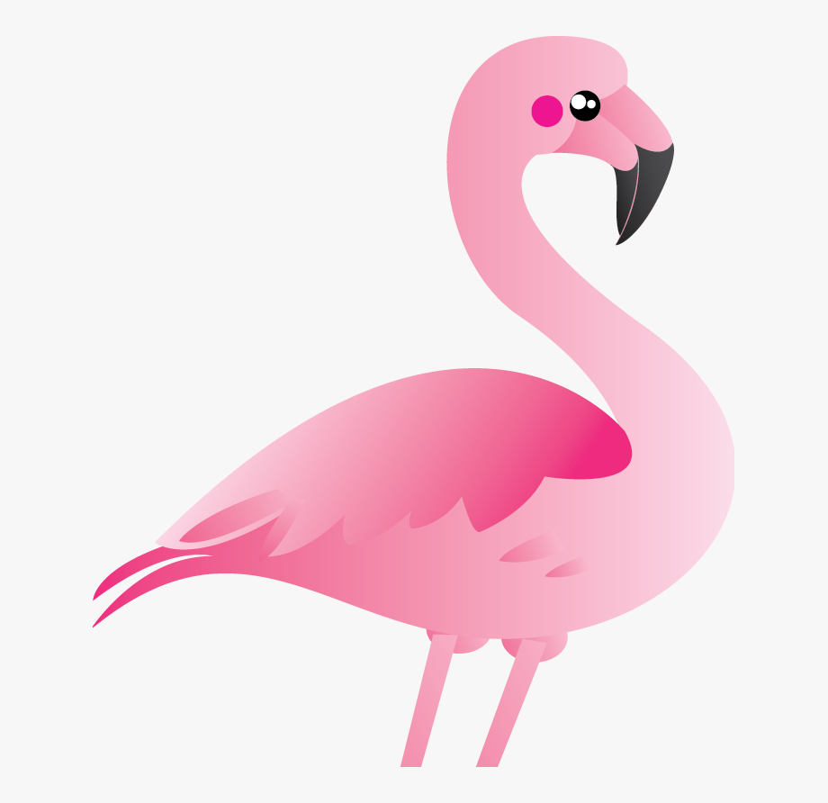 flamingo clipart transparent background