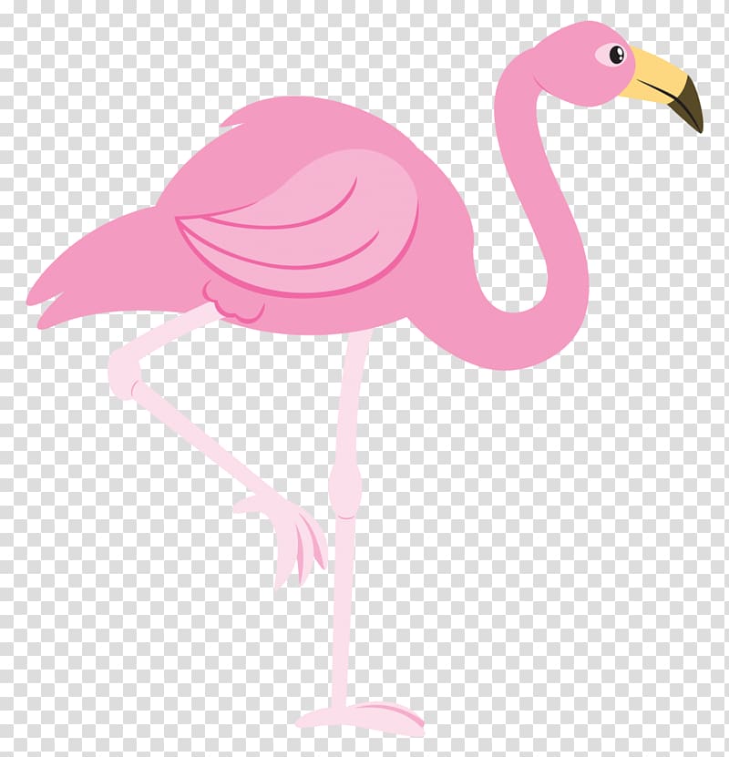 real flamingo clipart