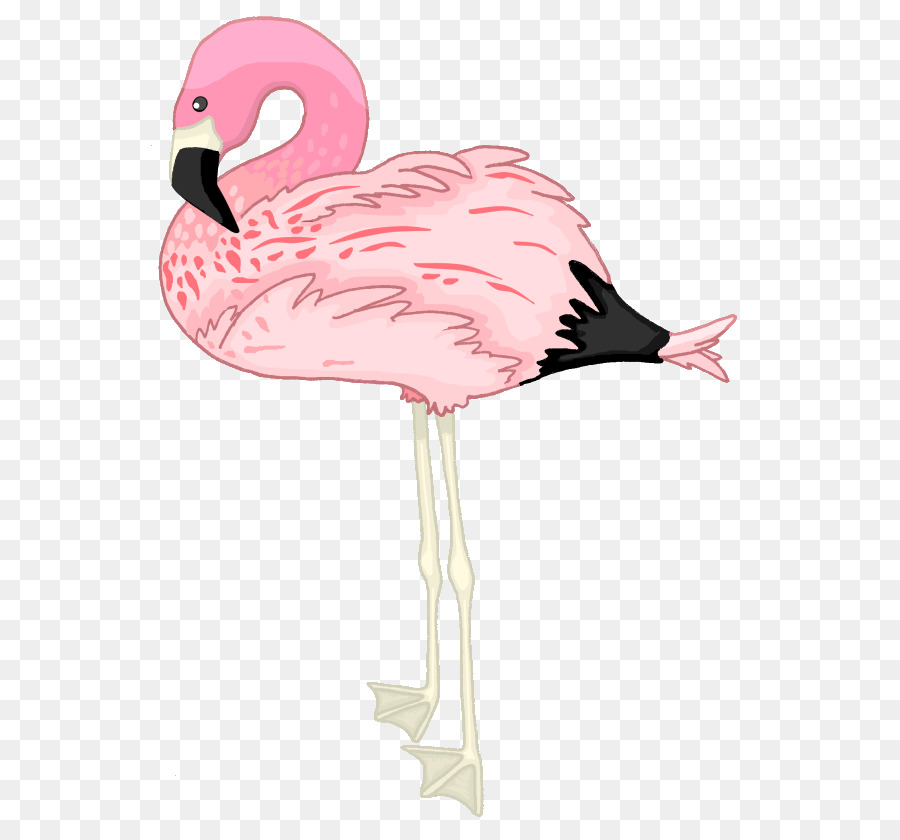 flamingo clipart transparent tumblr