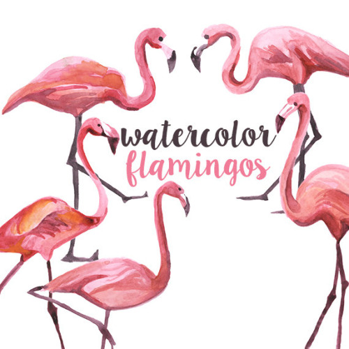Flamingo Clipart Transparent Tumblr Flamingo Transparent Tumblr Transparent Free For Download On Webstockreview 2020 - roblox flamingo tumblr posts tumbral com