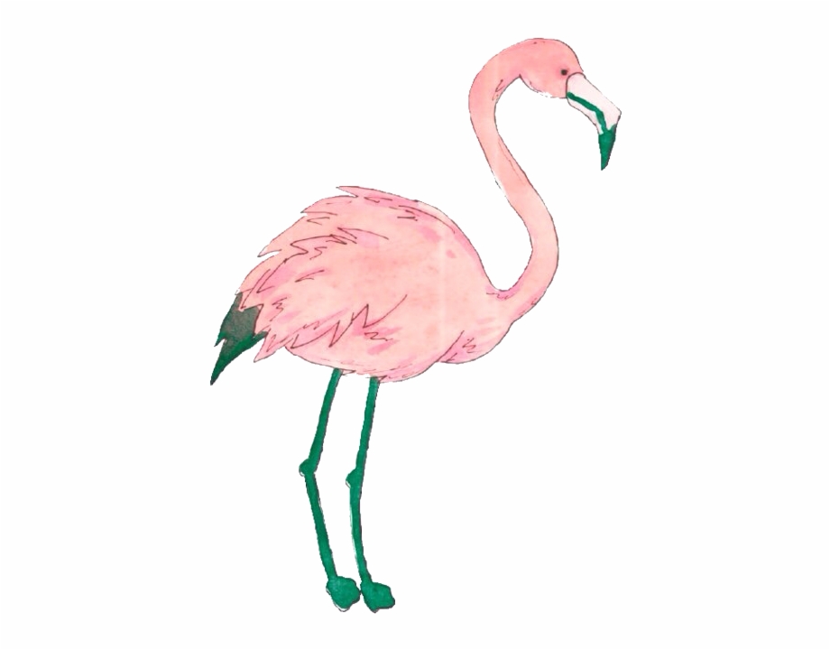 flamingo clipart transparent tumblr