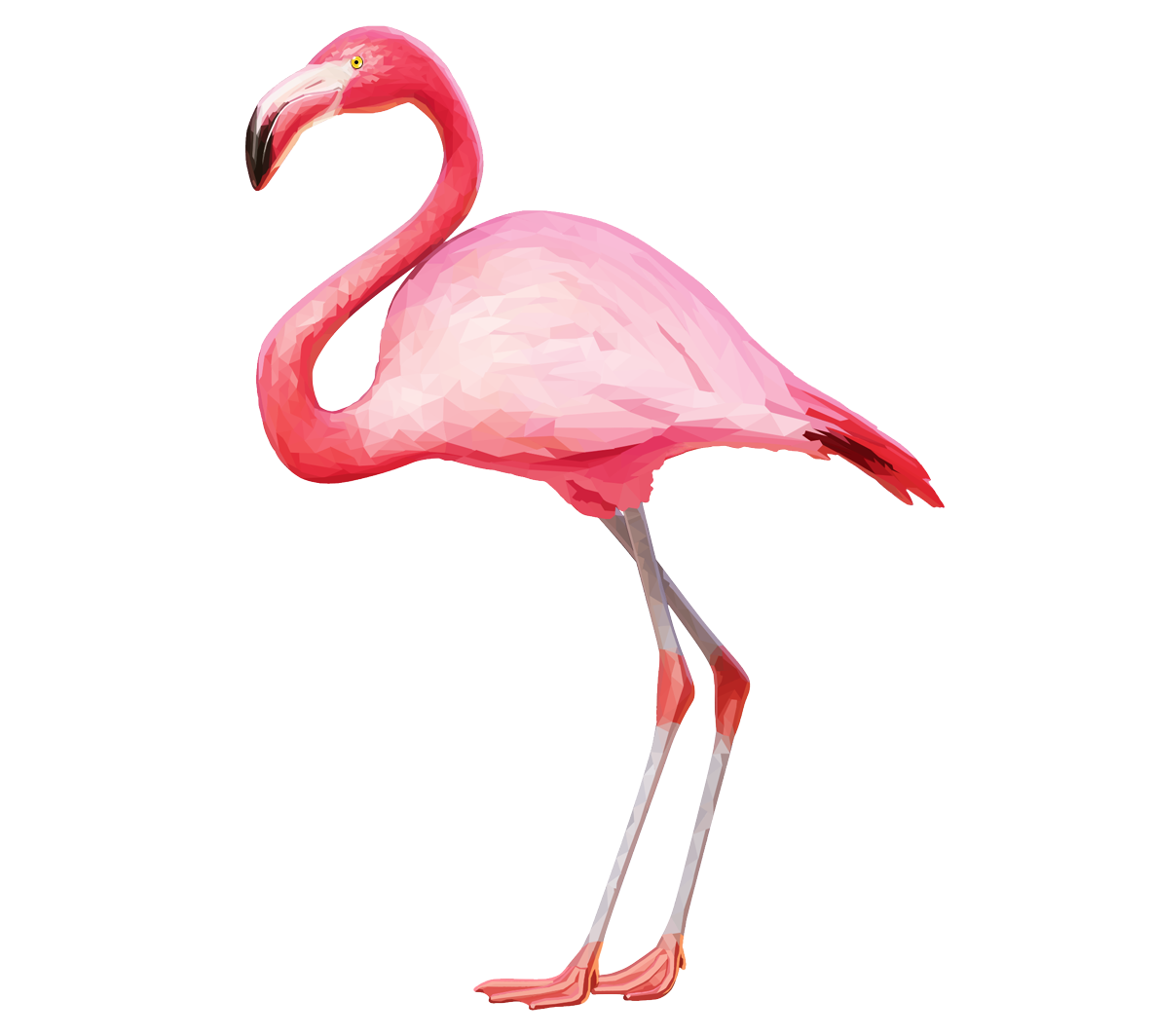 flamingo clipart tropical flamingo