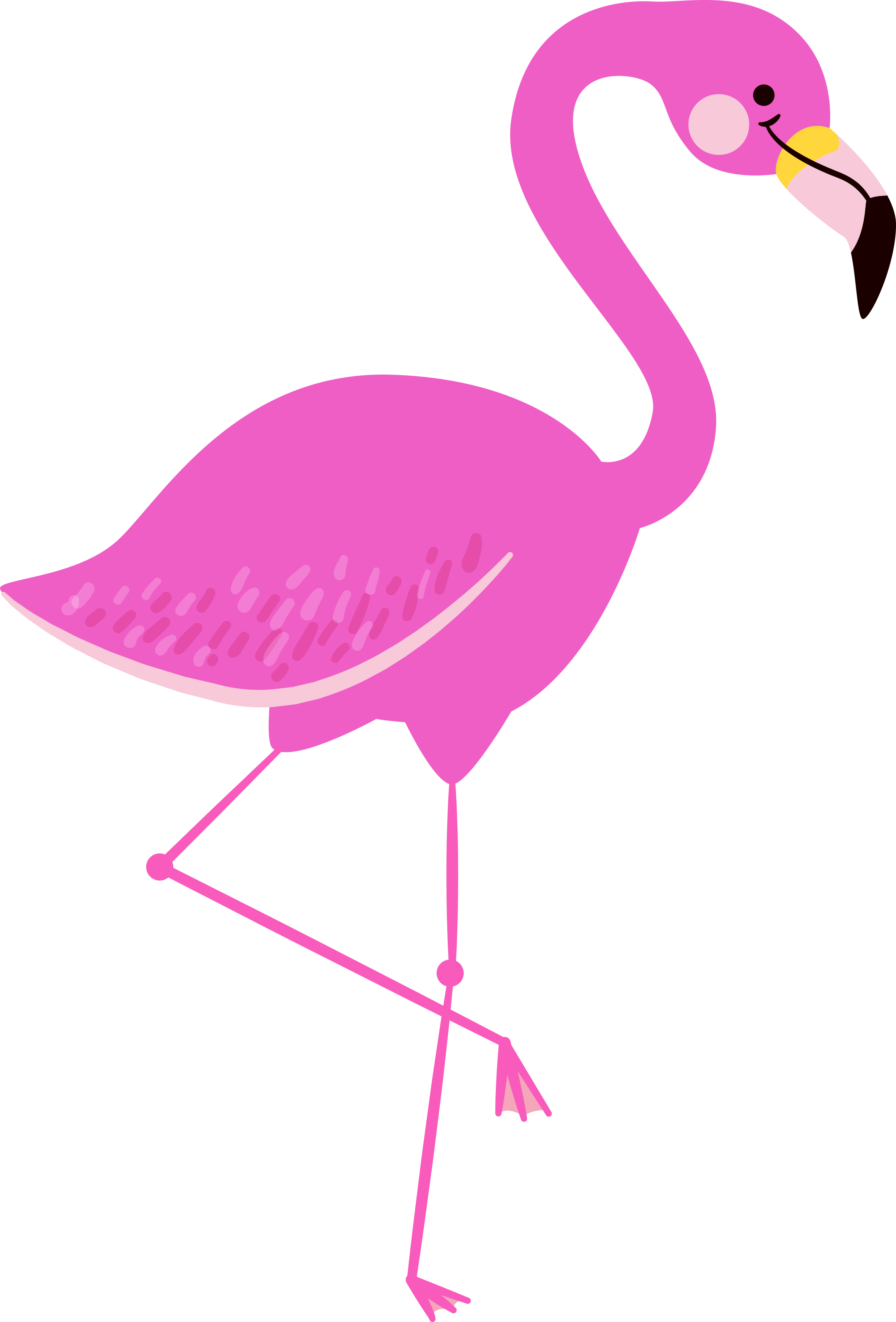 tropical flamingo clipart
