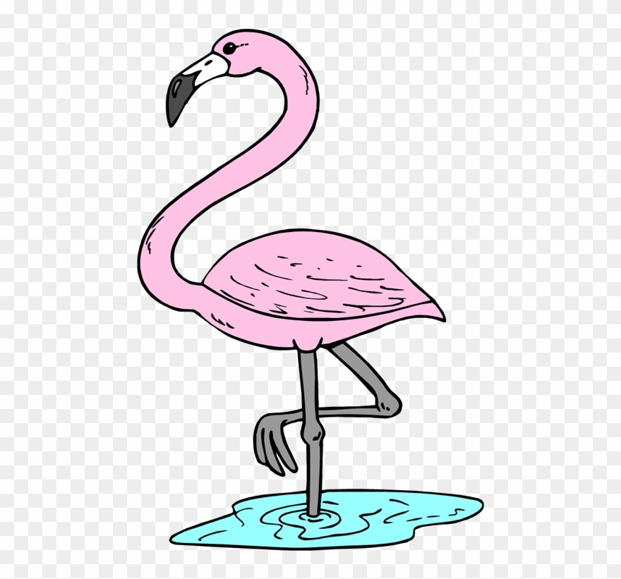 summer tropical flamingo clipart