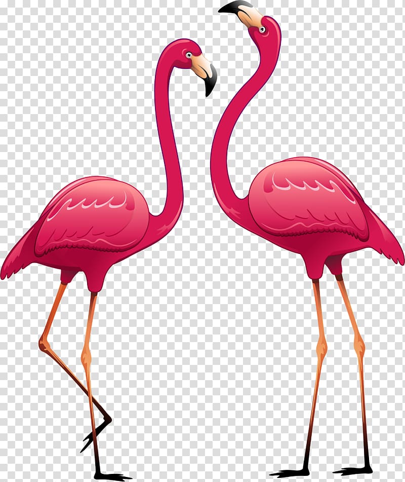 baby flamingo clipart outline