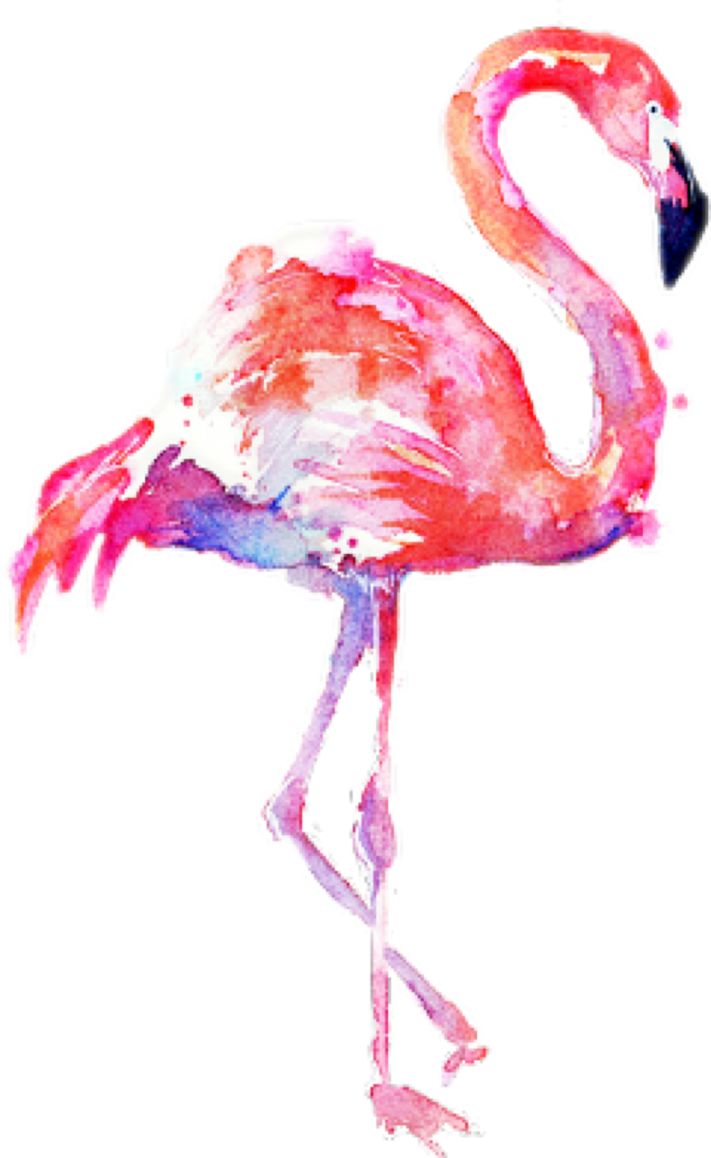 flamingo clipart watercolor