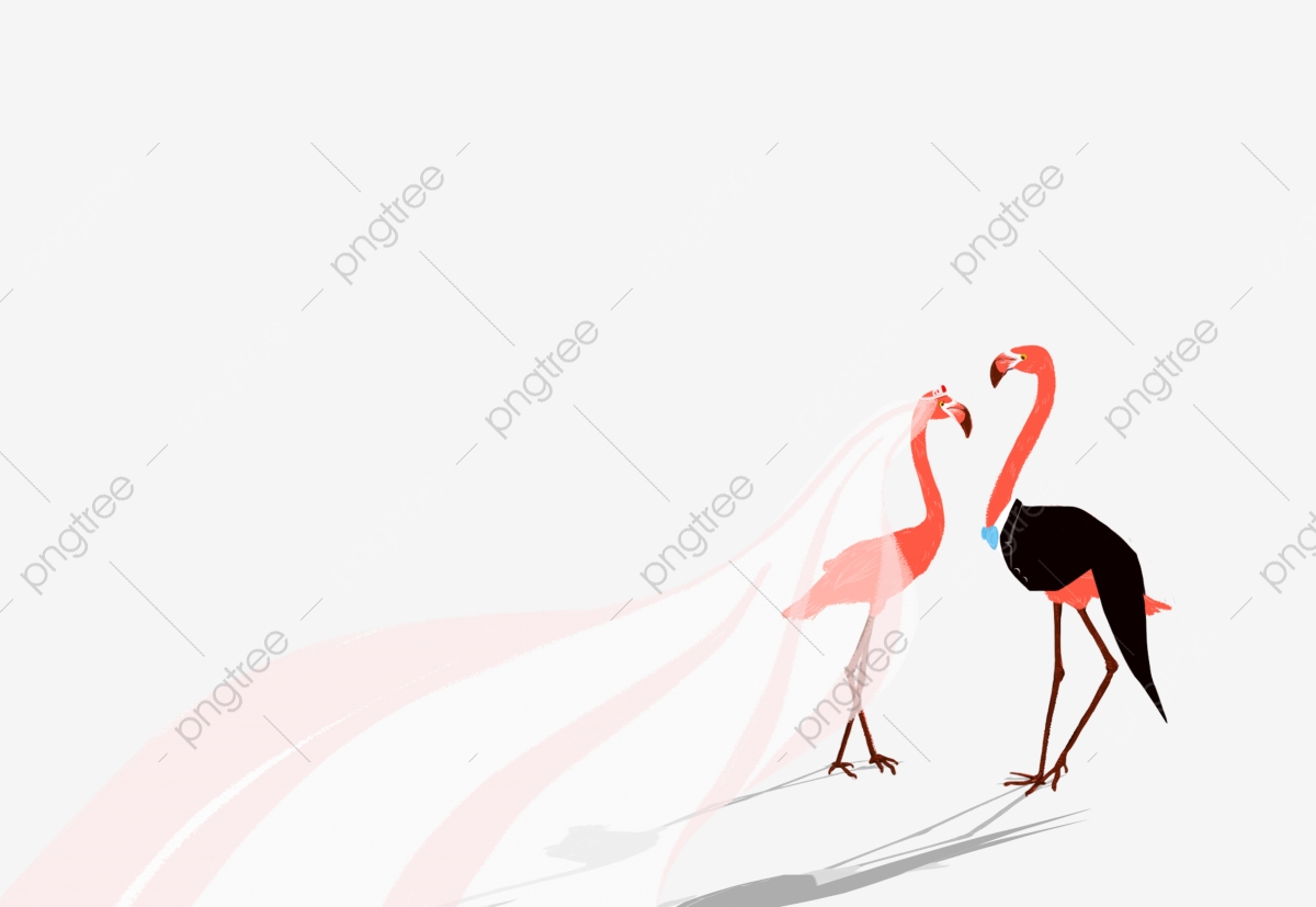 flamingo clipart wedding