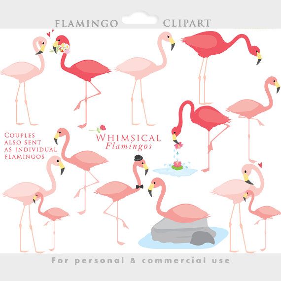 flamingo clipart whimsical