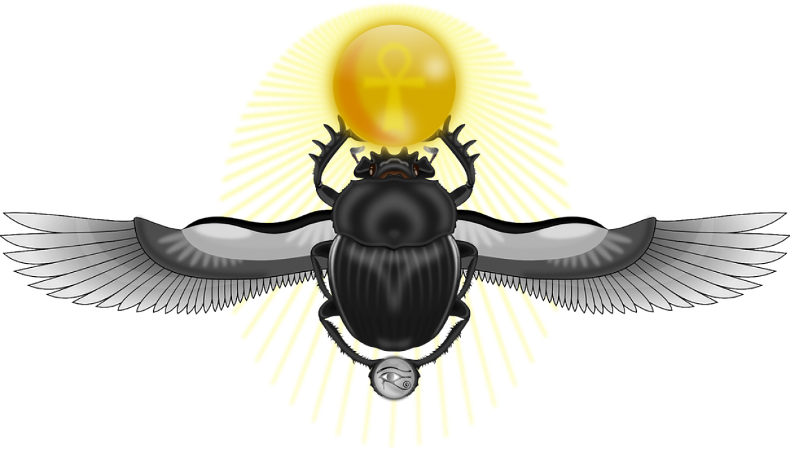 insect clipart scarab beetle