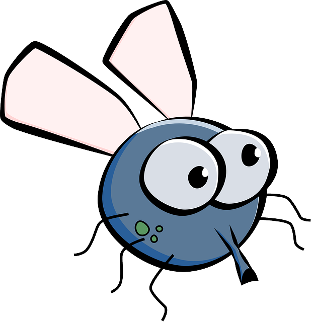 insects clipart different insect