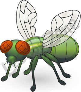 Flies clipart drosophila. Lesson zone us habitats