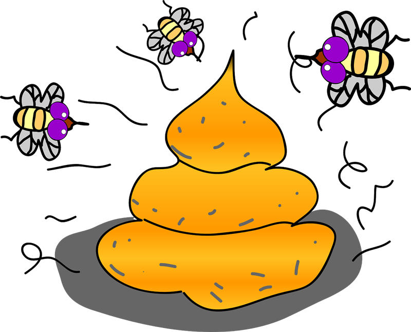 shell clipart lord the fly