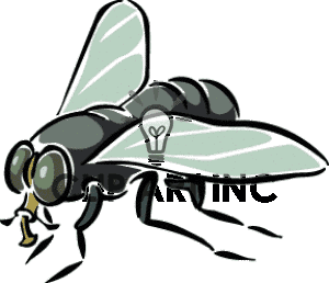 Fly clipart transparent. Free download best on