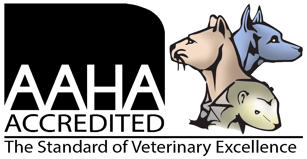 About us west end. Veterinarian clipart female veterinarian