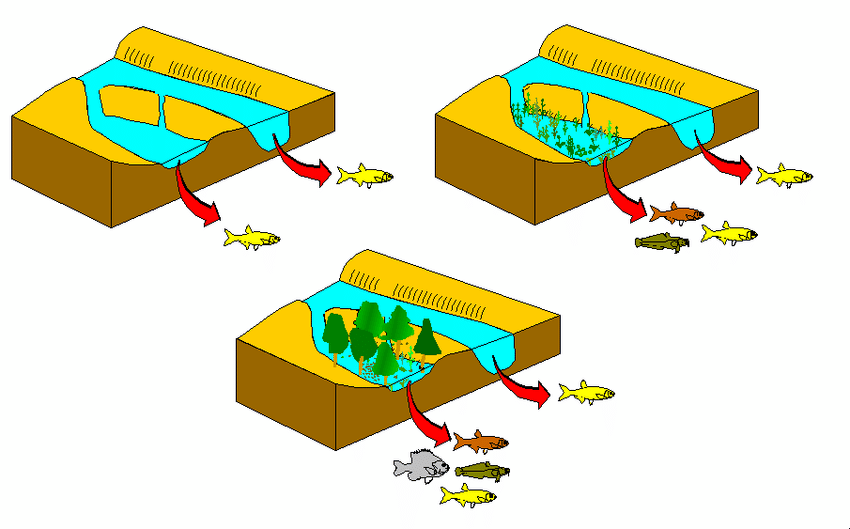 Different types of floodplains. Flood clipart floodplain