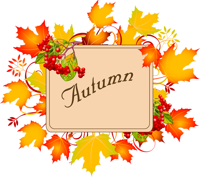 Floral clipart autumn. Colorful clip art for