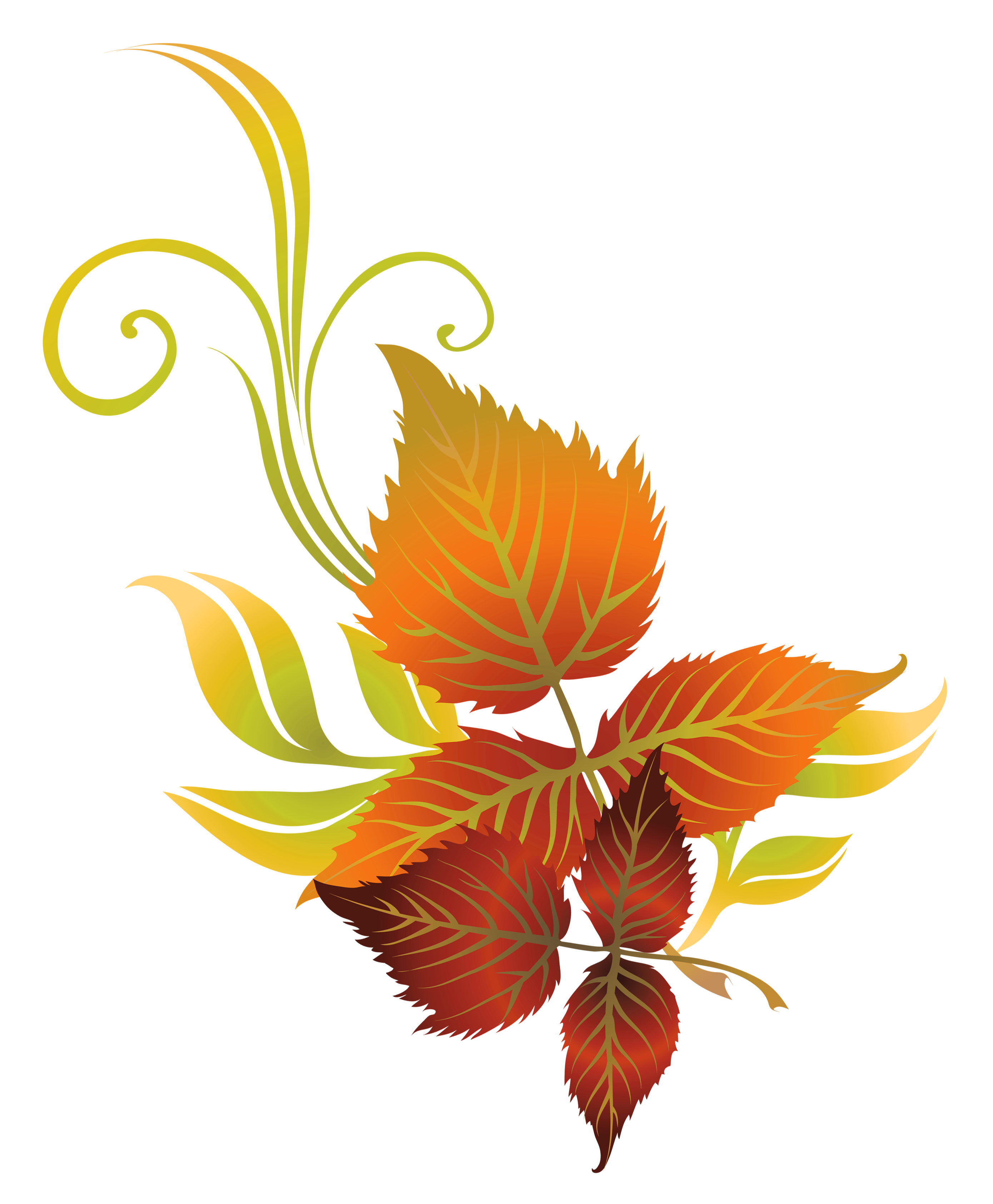 Floral clipart autumn. Fall leaves deco png