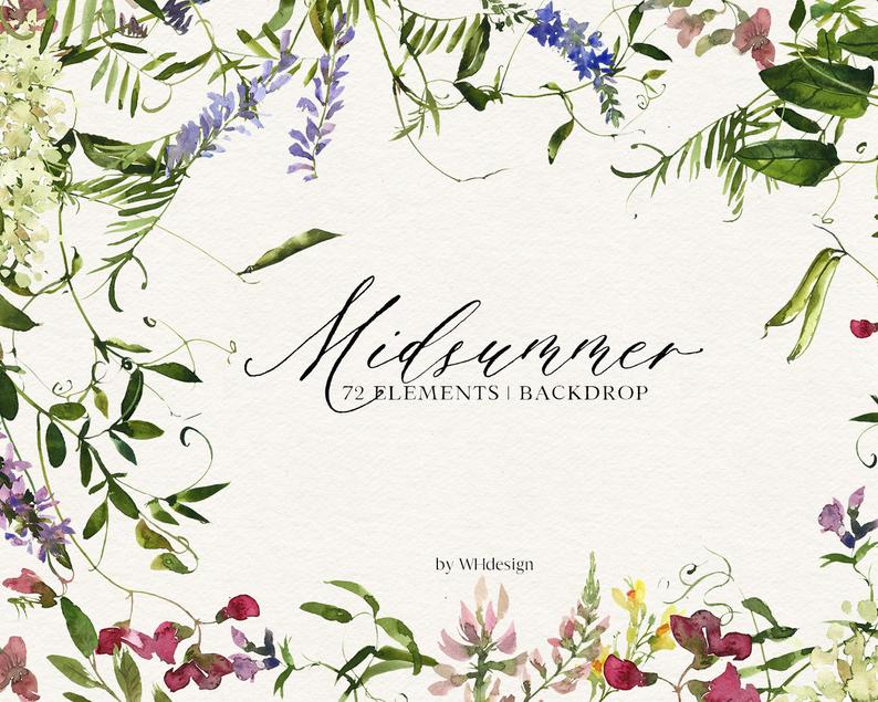 Floral clipart backdrop. Midsummer field flowers meadow