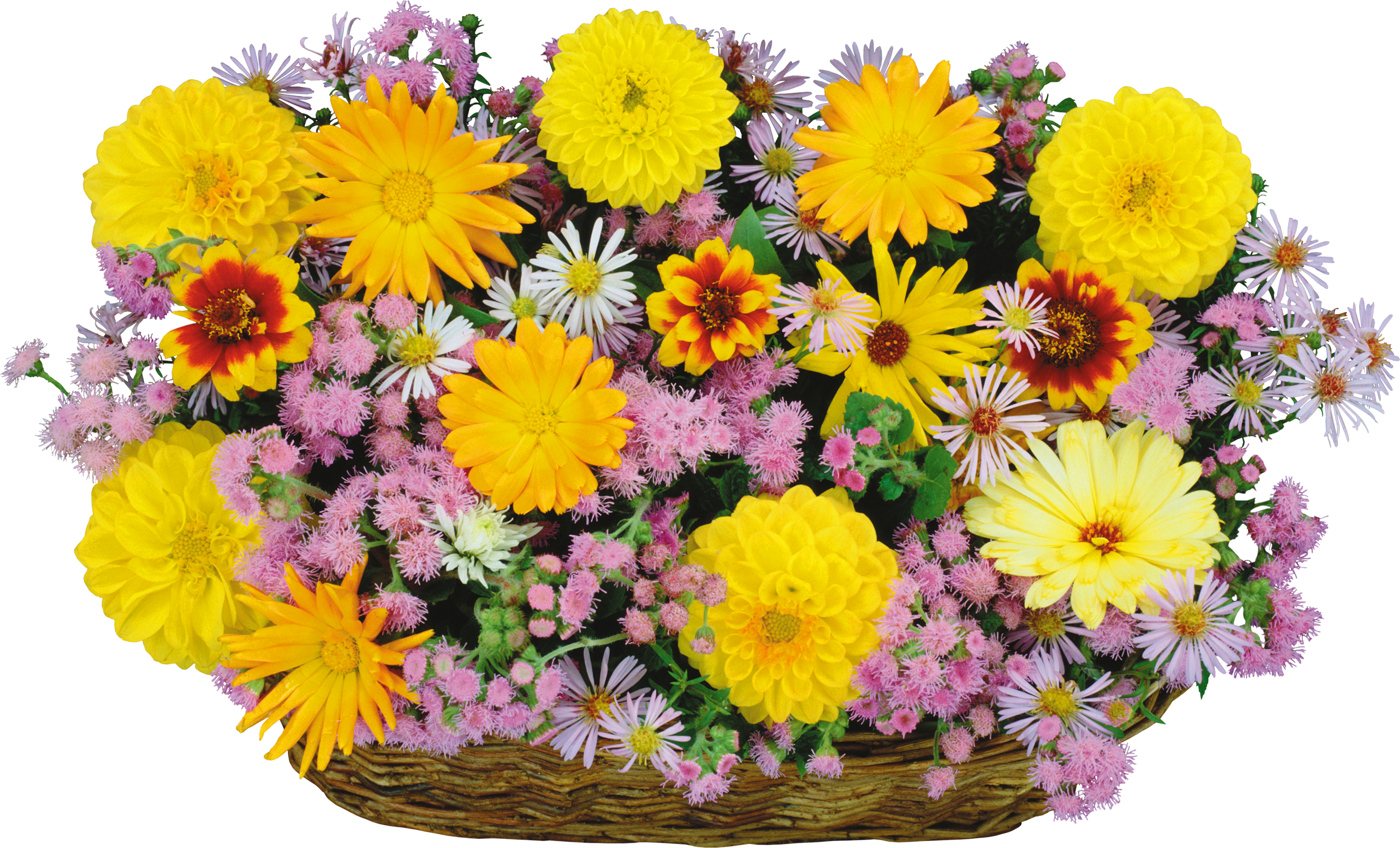 floral clipart basket