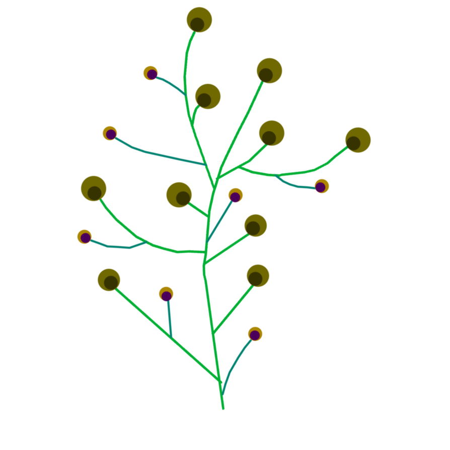 floral clipart branch
