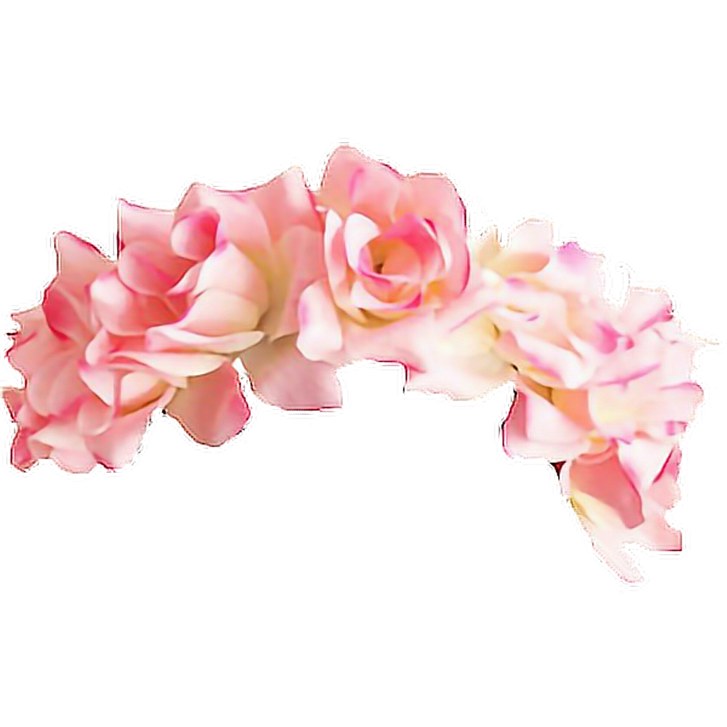 Pink flower crown png. Clip art wreath transprent