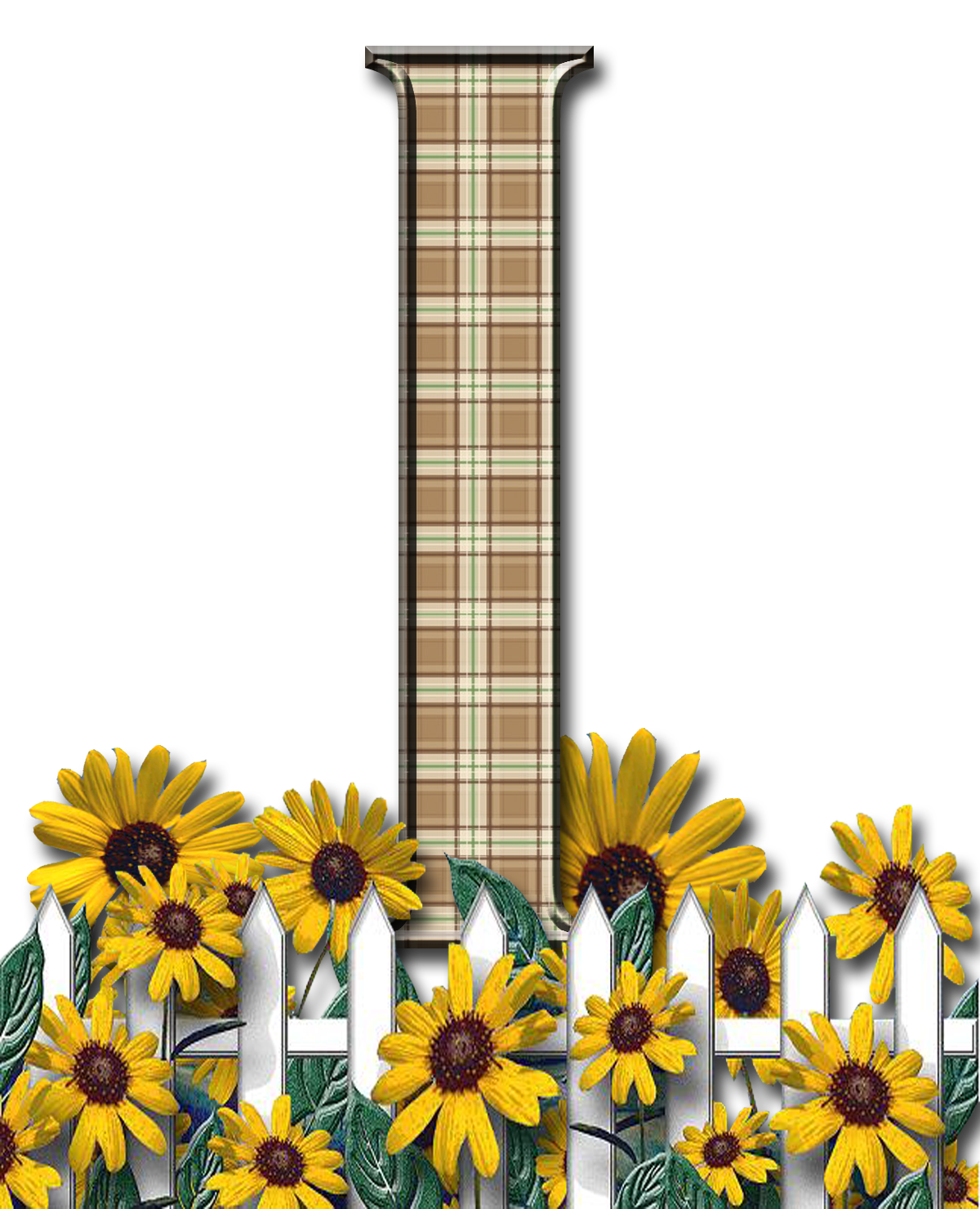 guitar clipart floral