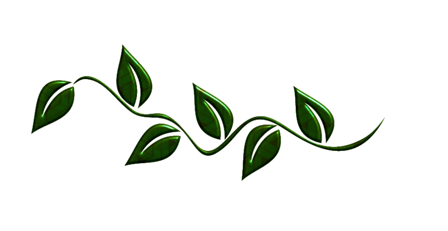 Leaf clipart boarder. Green leaves png by