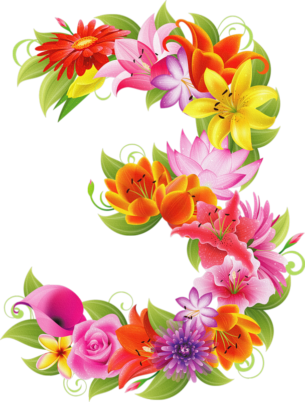 numbers clipart floral